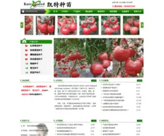Hengshengseeds.com(番茄种子) Screenshot