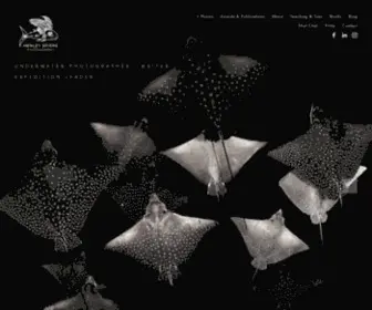 Henleyspiers.com(Henley Spiers) Screenshot