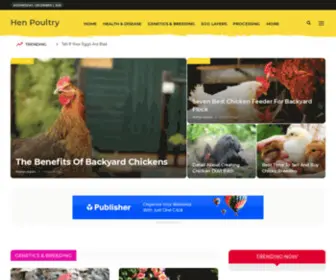 Henpoultry.com(Hen Poultry) Screenshot