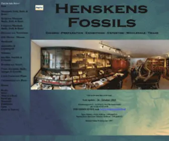 Henskensfossils.nl(Henskens) Screenshot