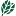 Herb-FAN.com Favicon