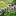 Herbgardening.info Favicon