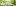 Herbianatural.com Favicon