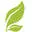 Herbnessences.com Logo