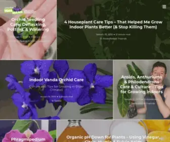 Herebutnot.com(Plant Care & Tips for Growing Orchids) Screenshot