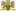 Heroldmaster.kiev.ua Favicon