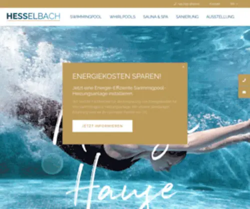 Hesselbach-SChwimmbadtechnik.de(Hesselbach SChwimmbadtechnik) Screenshot