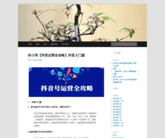 Hexiaowei.cn(何小伟) Screenshot