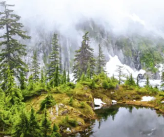 Heycascadia.com(Having a blast in the Pacific Northwest) Screenshot