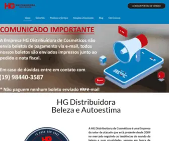 Hgdistribuidora.com.br(HG Distribuidora) Screenshot