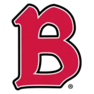 Hgub2Polye.com Favicon