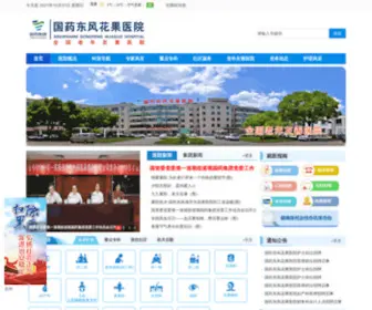 HGYY.com.cn(东风花果医院) Screenshot