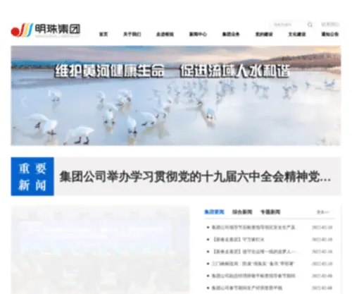 HHMZ.com.cn(三门峡黄河明珠集团有限公司) Screenshot