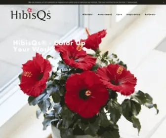 Hibisqs.com(HibisQs®) Screenshot