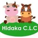 Hidakaclc.com Favicon