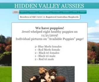 Hiddenvalleyaussies.com(Hidden Valley Australian Shepherds) Screenshot