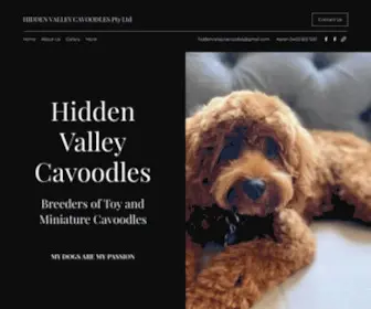 Hiddenvalleycavoodles.com.au(Hidden Valley Cavoodles) Screenshot