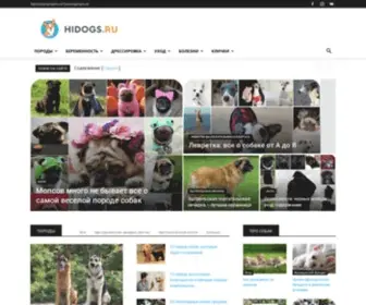 Hidogs.ru(лучший) Screenshot