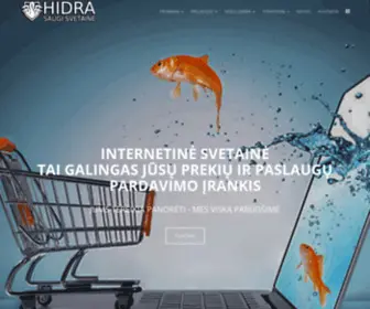 Hidra.lt(Internetinių svetainių kūrimas) Screenshot