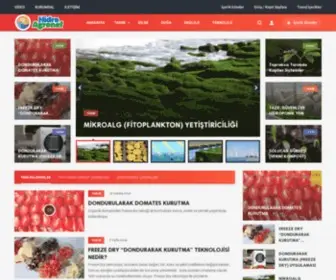 Hidroagronef.com(Resmi Web Sitesi) Screenshot