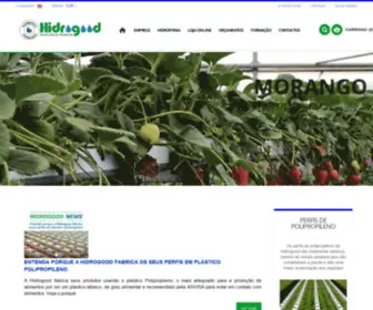 Hidrogood.pt(Magento) Screenshot