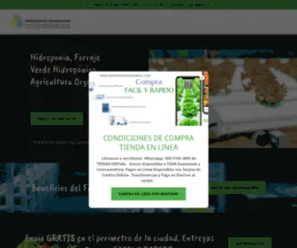 Hidroponiaguatemala.com(HIDROPONIA GUATEMALA FVH) Screenshot