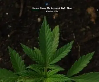 Higherhempcbd.com(CBD San Diego) Screenshot