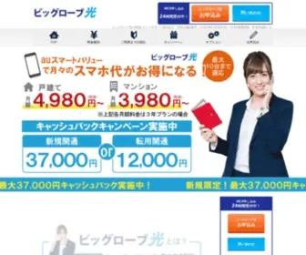 Hikari-Biglobe.com(ビッグローブ光 正規販売代理店) Screenshot