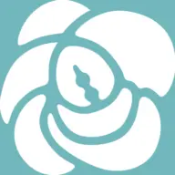 Hikariame.jp Favicon