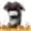 Hikarinet.info Favicon