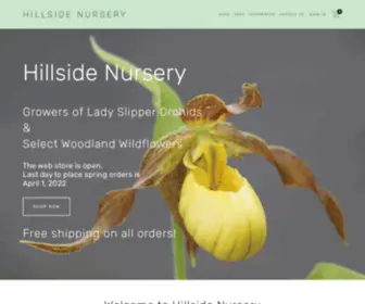 Hillsidenursery.biz(Hillside Nursery Growers of Lady Slipper orchids and select woodland wildflowers) Screenshot
