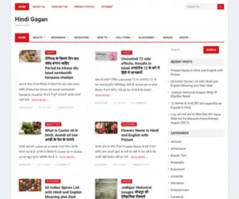 Hindigagan.com(Hindi Gagan) Screenshot