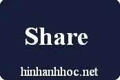 Hinhanhhoc.net Favicon