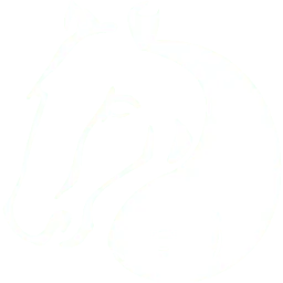 Hipposandfish.com Favicon