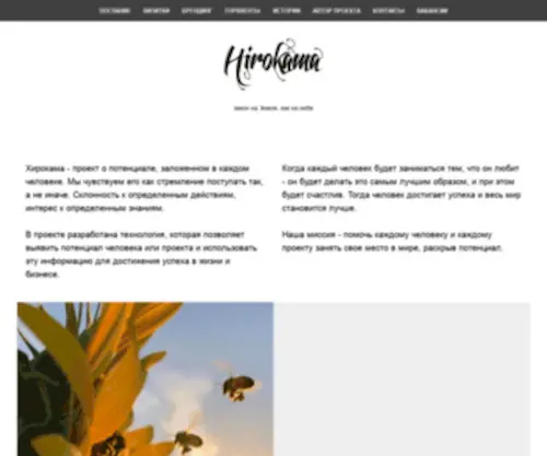 Hirokama.ru(Hirokama) Screenshot