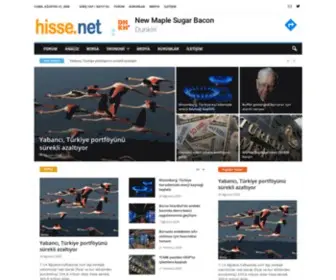 Hisse.net(Ana Sayfa) Screenshot