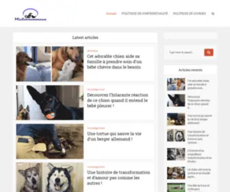 Histoireanimaux.com(Histoireanimaux) Screenshot