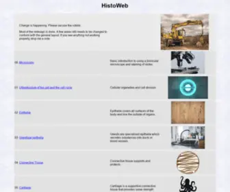 Histoweb.co.za(Departement Anatomie) Screenshot