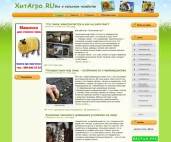 Hitagro.ru(ХитАгро.RU) Screenshot