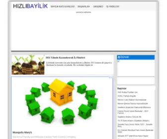 Hizlibayilik.com(Hızlı Bayilik) Screenshot