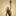 Hkfaa.com Favicon
