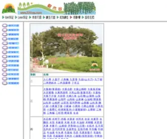 HKtree.com(Index) Screenshot