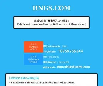 HNGS.com(顺米网shunmi.com) Screenshot
