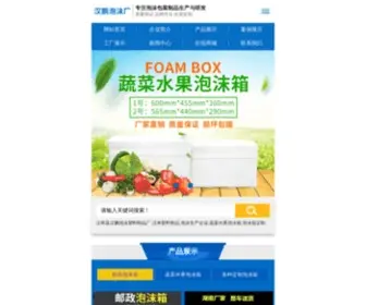 Hnhanpeng.com(汉寿县汉鹏泡沫塑料制品厂) Screenshot