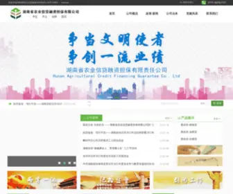 HNNYDB.com(湖南省农业信贷融资担保有限公司) Screenshot