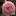 Hoala.vn Favicon