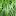 HobbyHobby.net Favicon