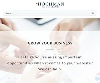 Hochmanconsultants.com(Hochman Consultants) Screenshot
