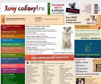 Hochusobaku.ru(Интернет издание про собак) Screenshot