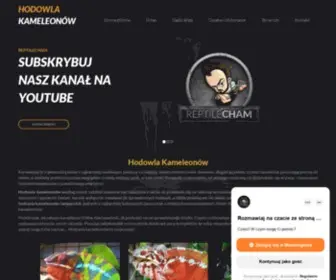 Hodowlakameleonow.pl(Hodowla Kameleonów) Screenshot